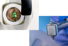 The world-first device to restore vision being prepared for human clinical trials device to restore vision