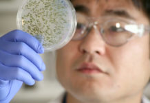 Scientist uses open-source techniques to turn bugs into patent-free drugs Scientist uses open-source techniques to turn bugs into patent-free drugs