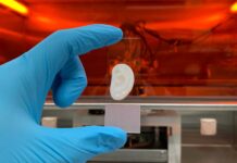 3D printed ears made from human cells stay flexible for weeks in animal tests