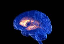 China approves world’s first commercial brain implant