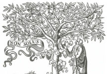 Elsevier acquires Amirsys to augment its evidence-based clinical solutions suite Elsevier acquires Amirsys