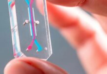 The technology to replace animal testing exists. Getting scientists to use it is the hard part.