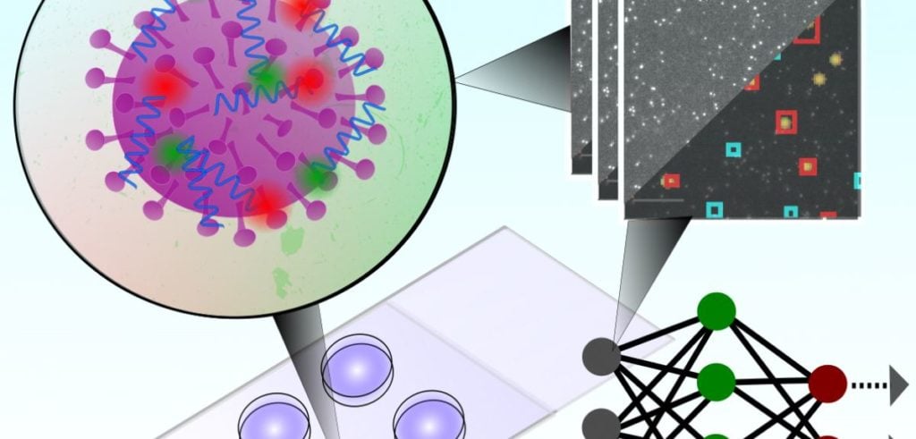 Oxford rapid diagnostic test for Covid-19
